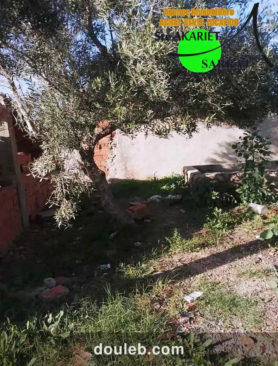 Terrain clôturé titré 300m à hamada hammam sousse - Miniature 5
