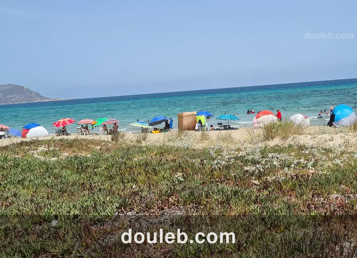 Terrain de avec vue panoramique mer montagne - Miniature 5