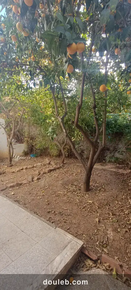 Villa a menzah 9 a - Miniature 3