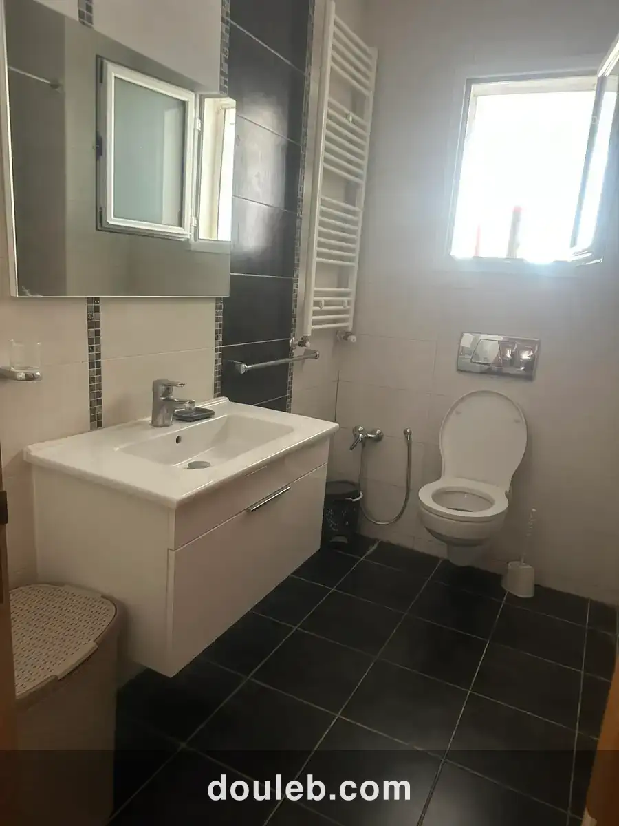 S3 meublé au lac2 - Miniature 4