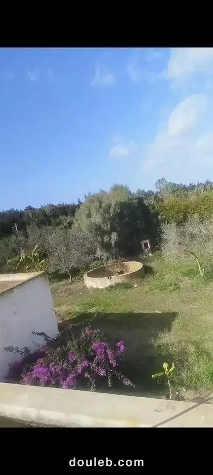 Une ferme - Miniature 4