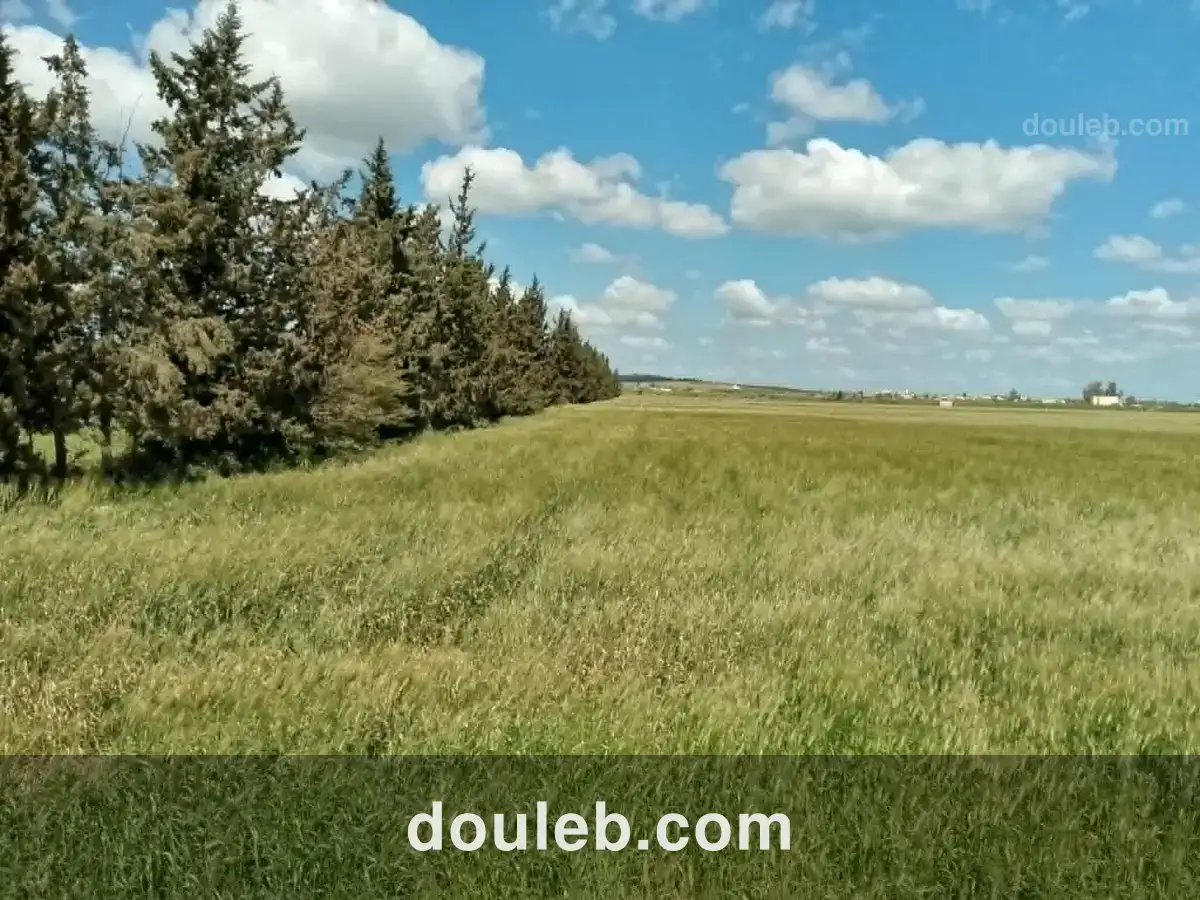 Opportunité d investissement à ne pas rater - Miniature 2