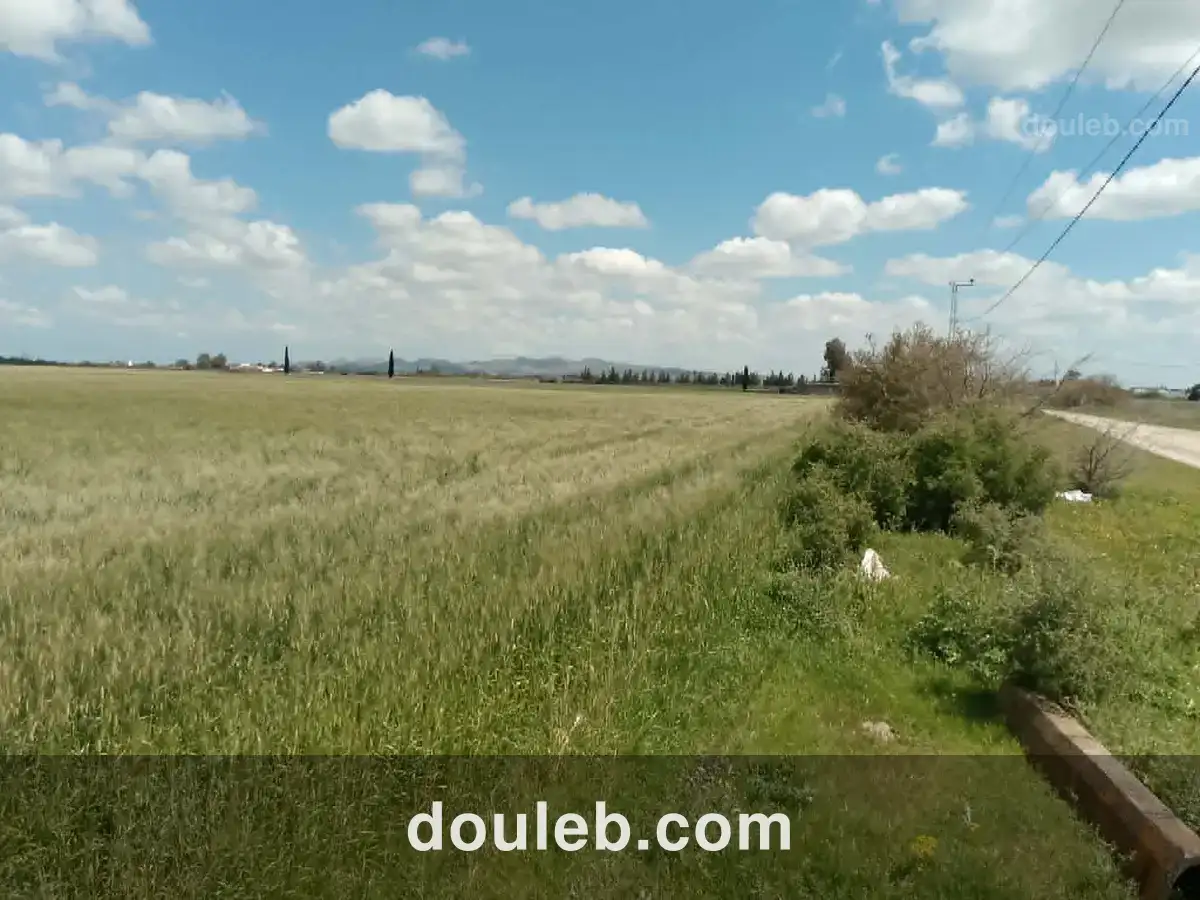 Opportunité d investissement à ne pas rater - Miniature 3