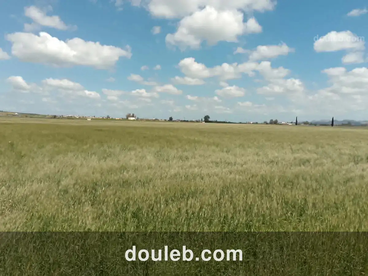 Opportunité d investissement à ne pas rater - Miniature 4