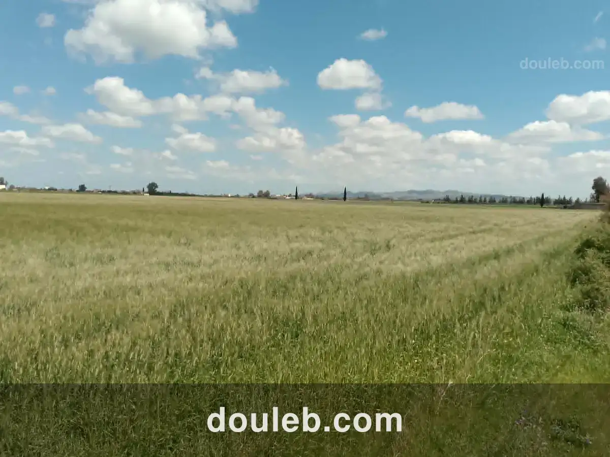 Opportunité d investissement à ne pas rater - Miniature 5