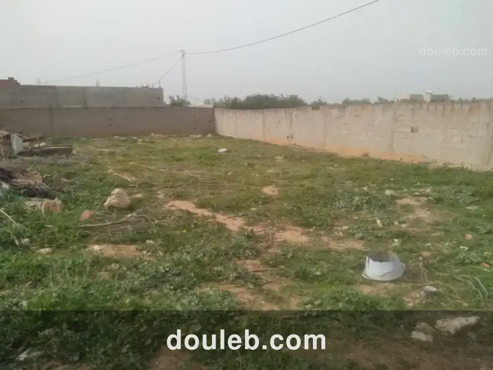 Bonne occasion - Miniature 4