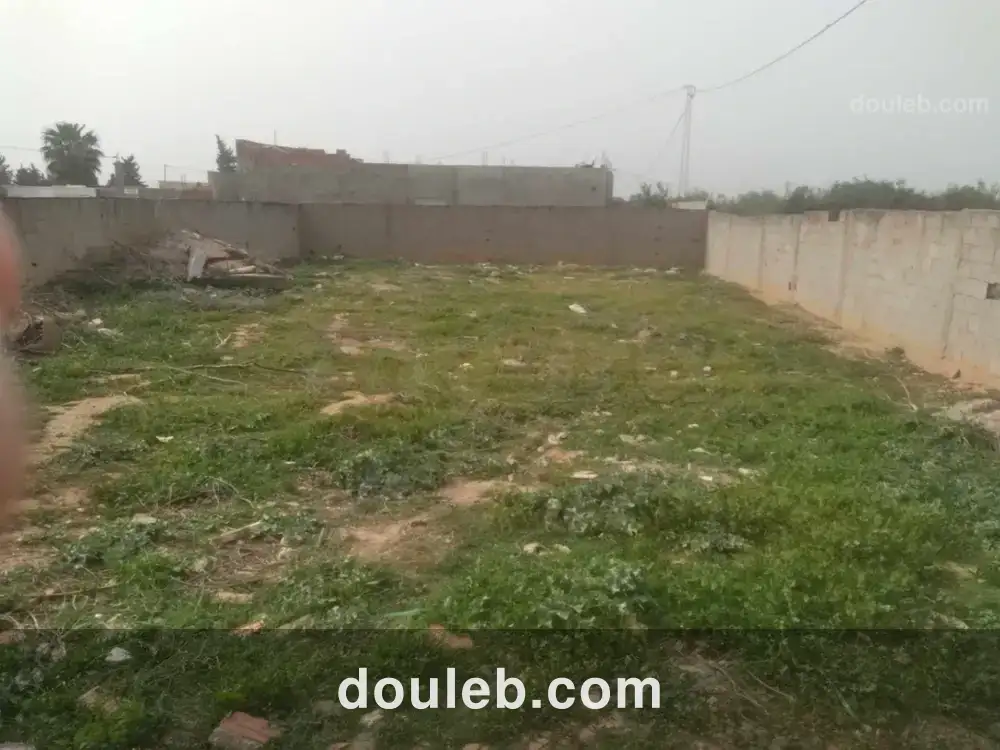 Bonne occasion - Miniature 5