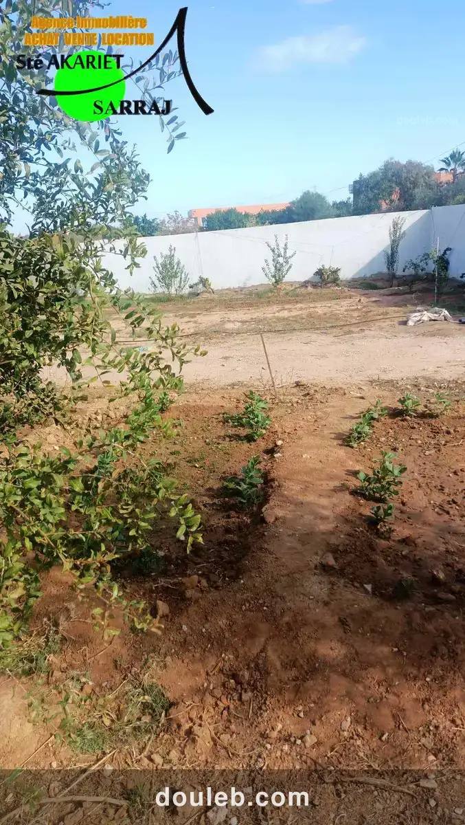 Terrain clôturé 2658m prés zine bledi tantana - Miniature 2