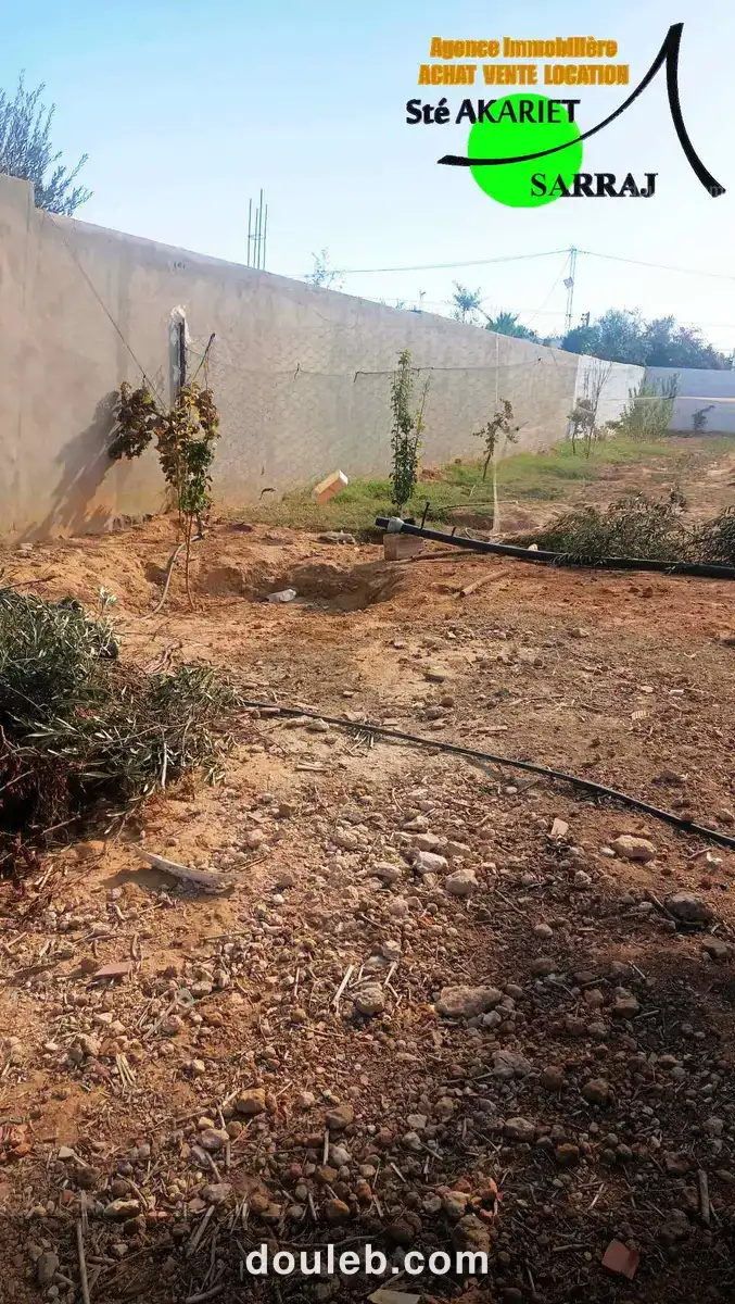 Terrain clôturé 2658m prés zine bledi tantana - Miniature 5