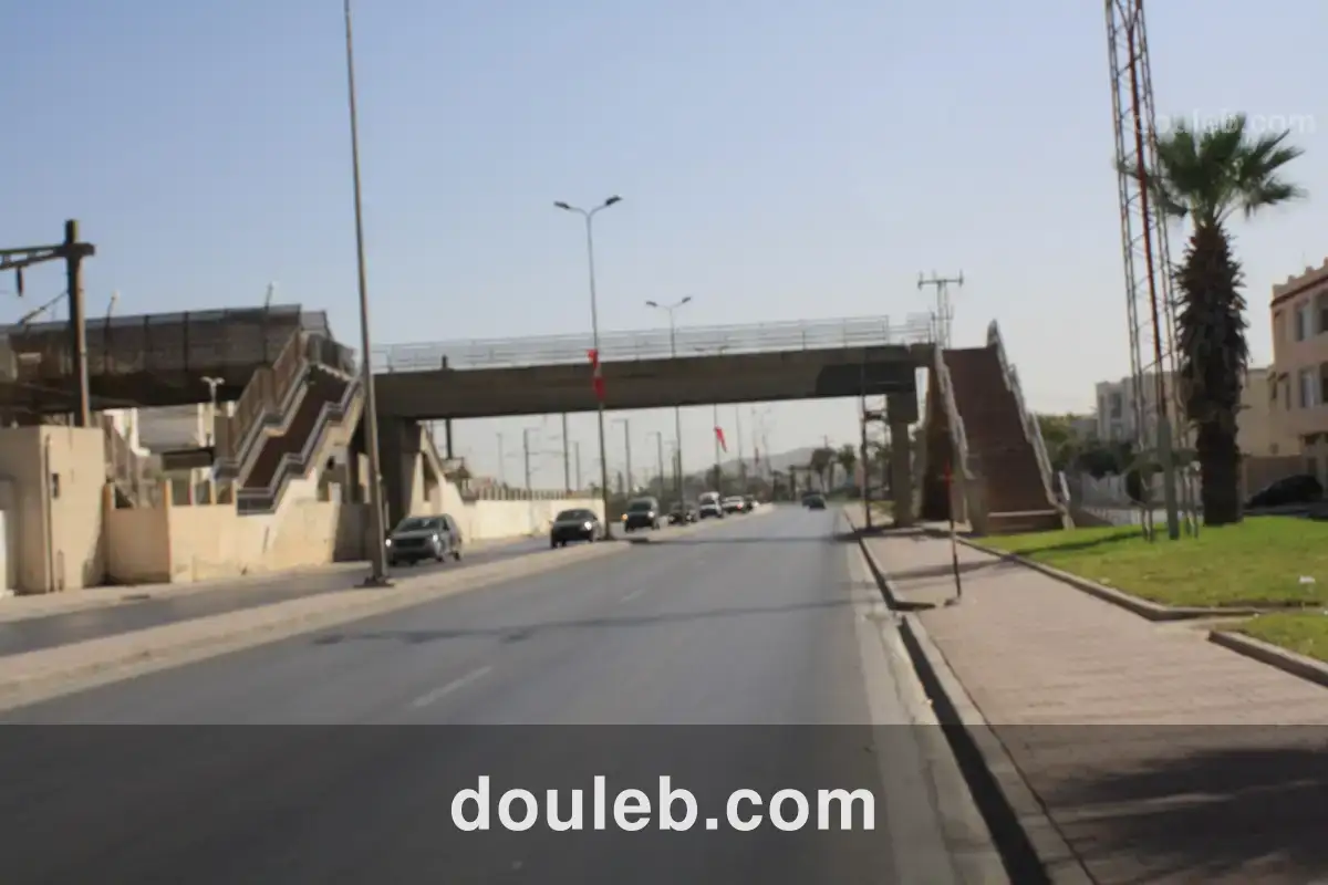 Gps entrepôt et surface de stockage - Miniature 3