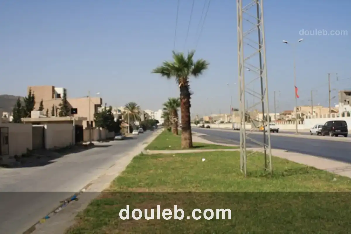 Gps entrepôt et surface de stockage - Miniature 5