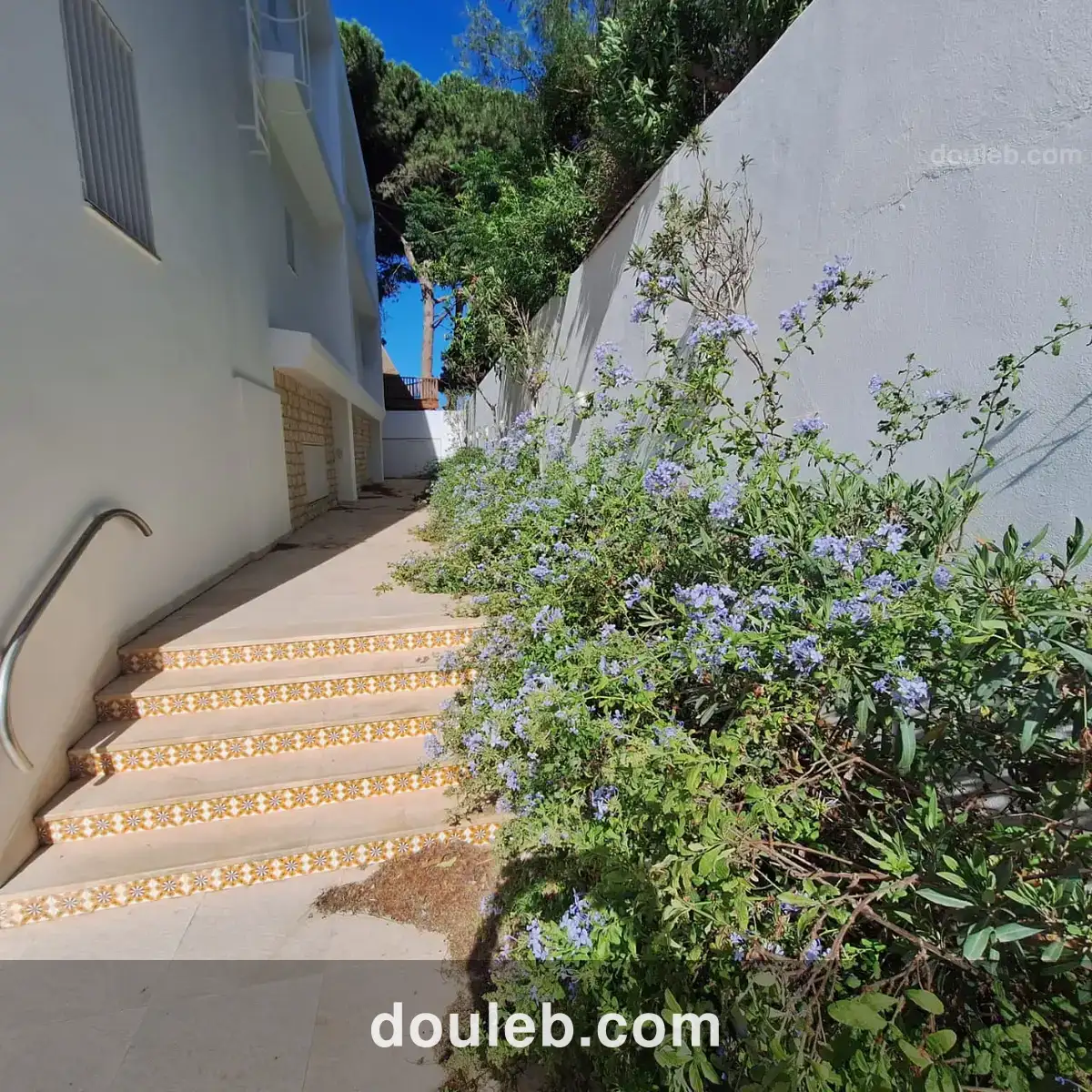 Villa s4 à l au gammarth - Miniature 2