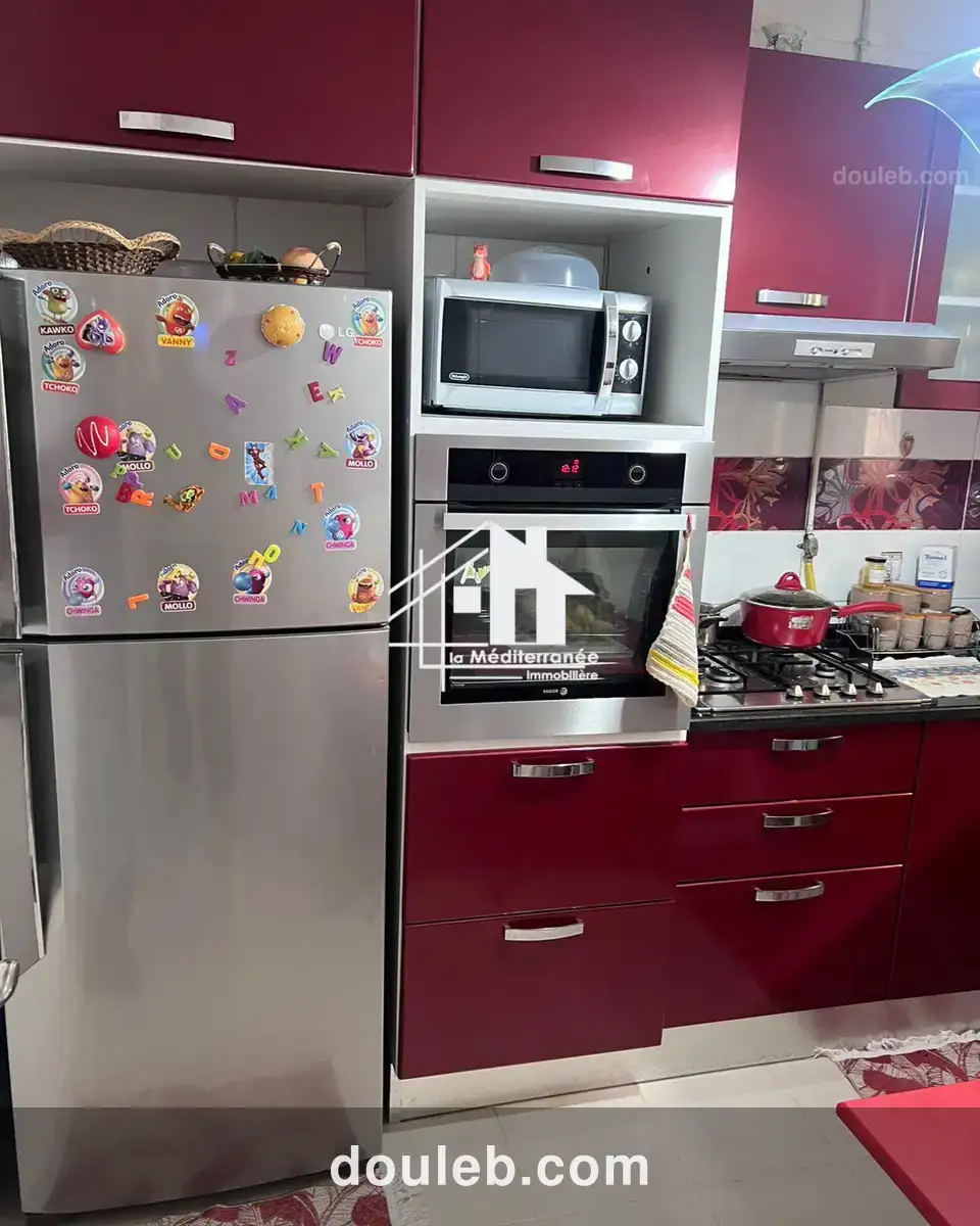 Duplex 2s2 hst - Miniature 2