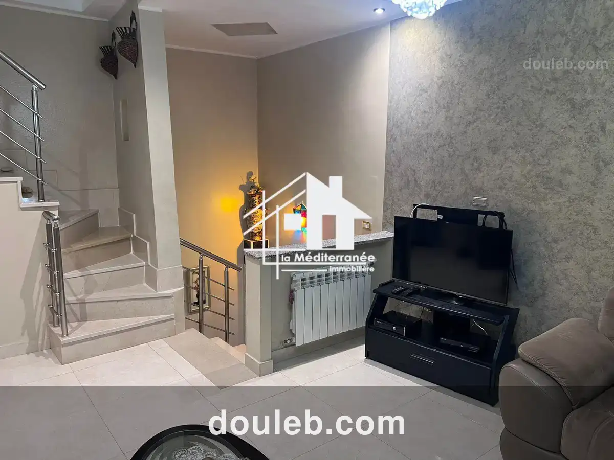 Duplex 2s2 hst - Miniature 3