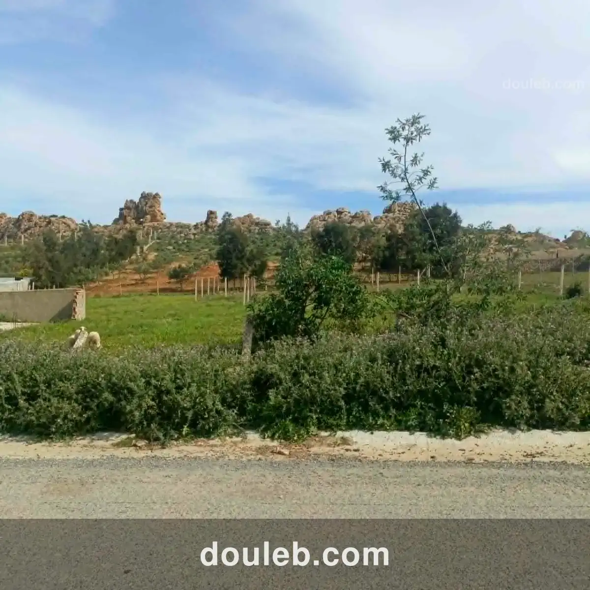 Terrain 750m à monchar hammamet sud - Miniature 2