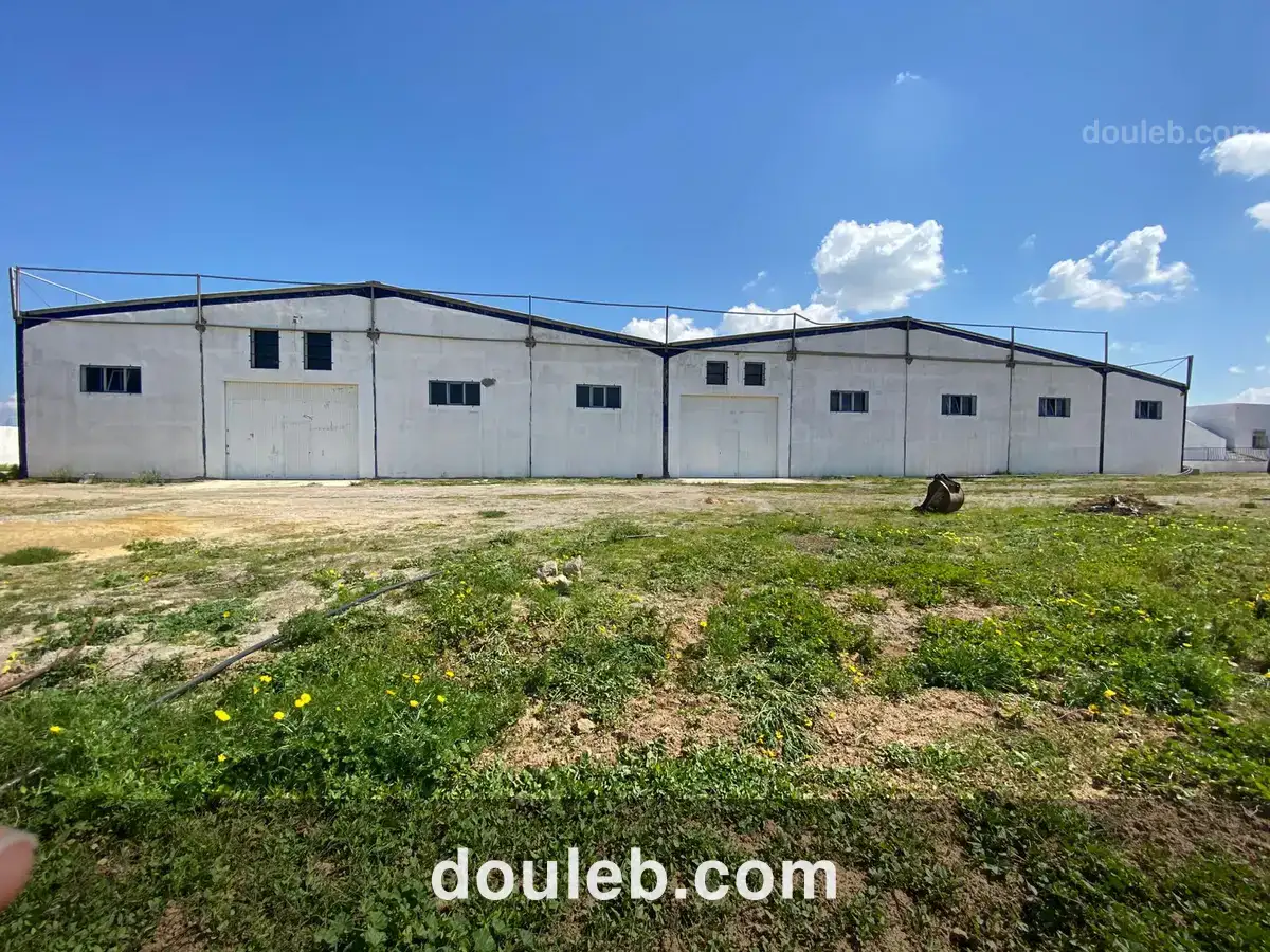 Entrepôt neuf de 2 000 m2 à soliman - Photo 1