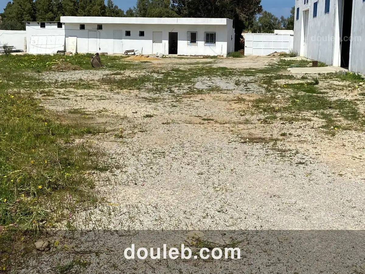 Entrepôt neuf de 2 000 m2 à soliman - Miniature 2