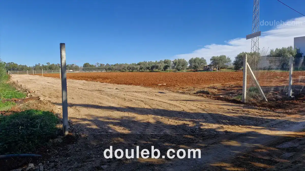 Lots de terrain de 1000 m situés à sidi thabet - Miniature 3