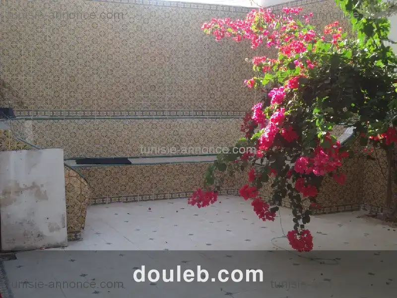 Maison sousse khzema - Miniature 3