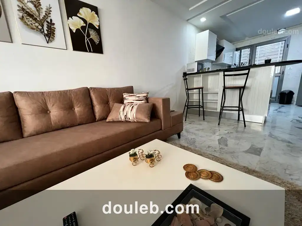 S1 richement meublé - Miniature 5