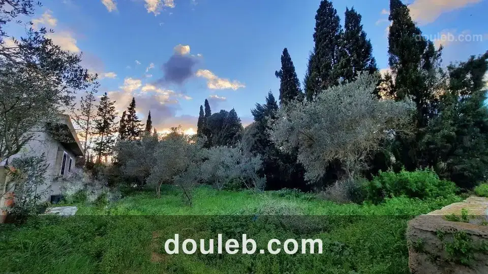 Maison s 2 terrain 310 m 2 route plage - Miniature 3