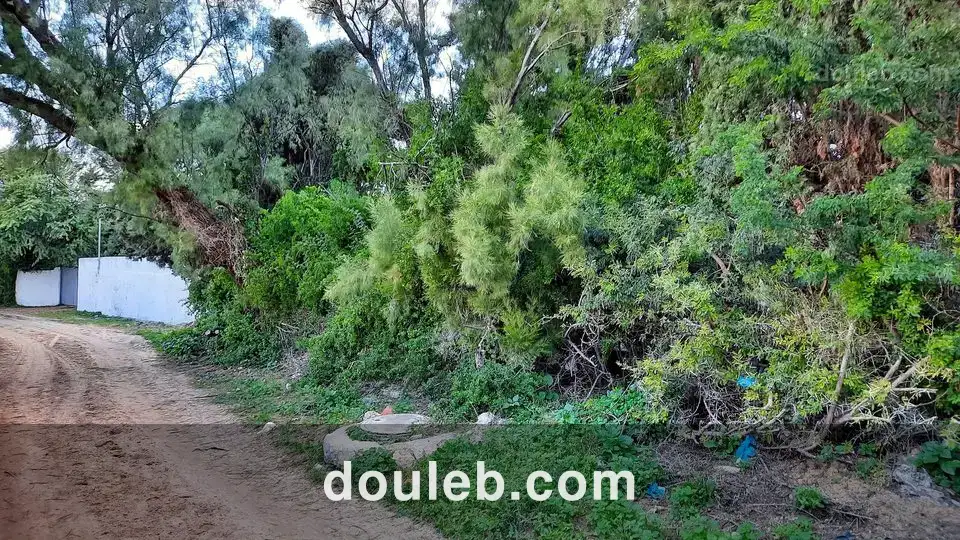 Maison s 2 terrain 310 m 2 route plage - Miniature 4