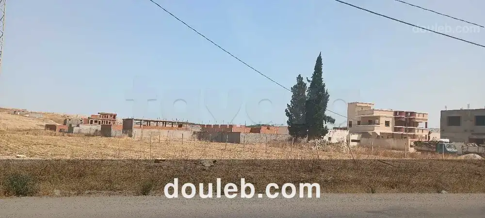 Terrain 255 m carré à mornaguia - Miniature 3