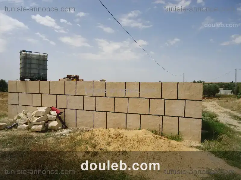 Terrain agricole kalaa essghira - Miniature 5