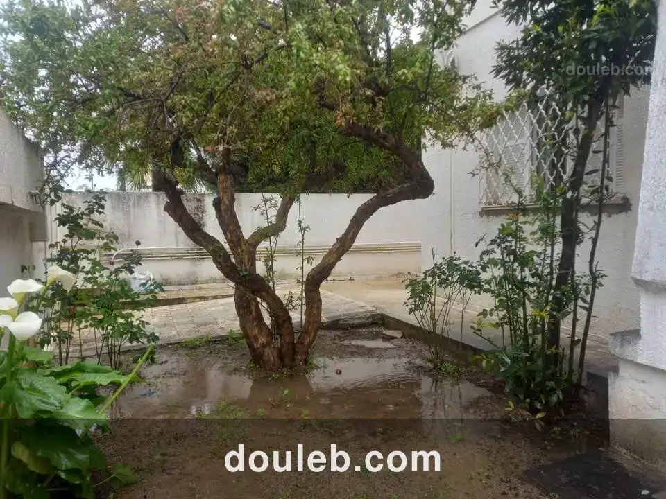 Étage de villa pour usage bureautique - Miniature 5