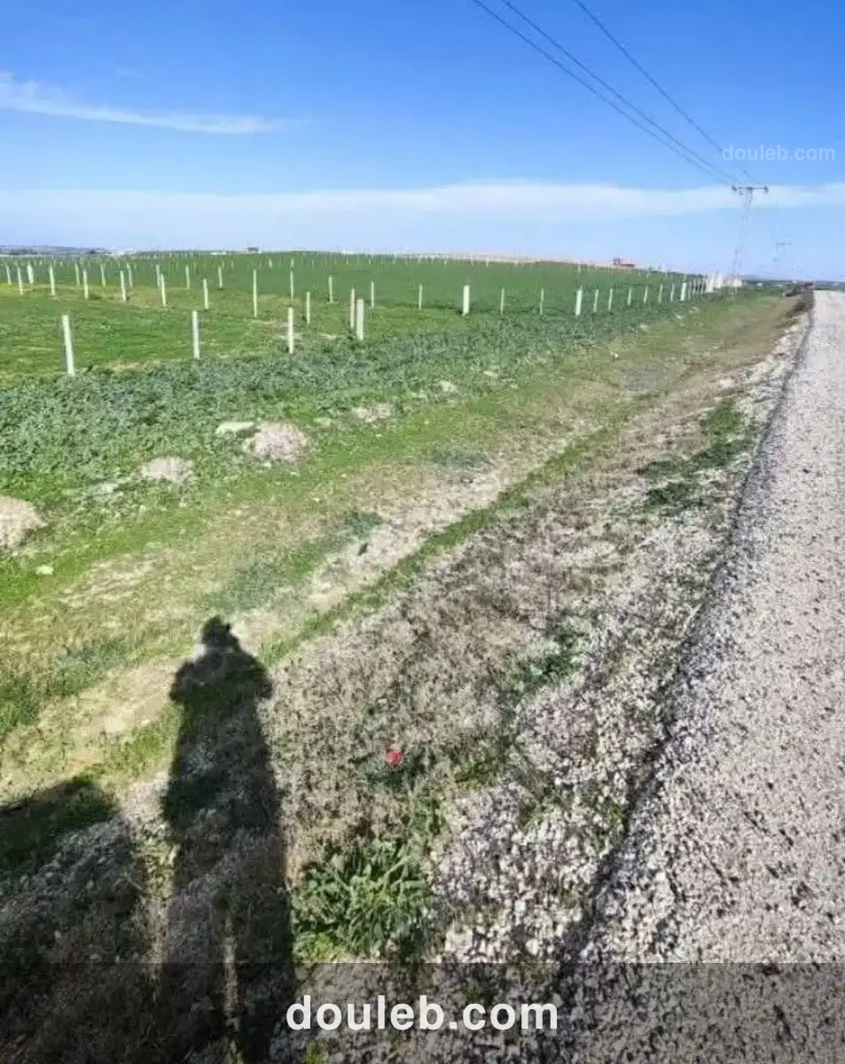 Terrain constructible unique - Miniature 4