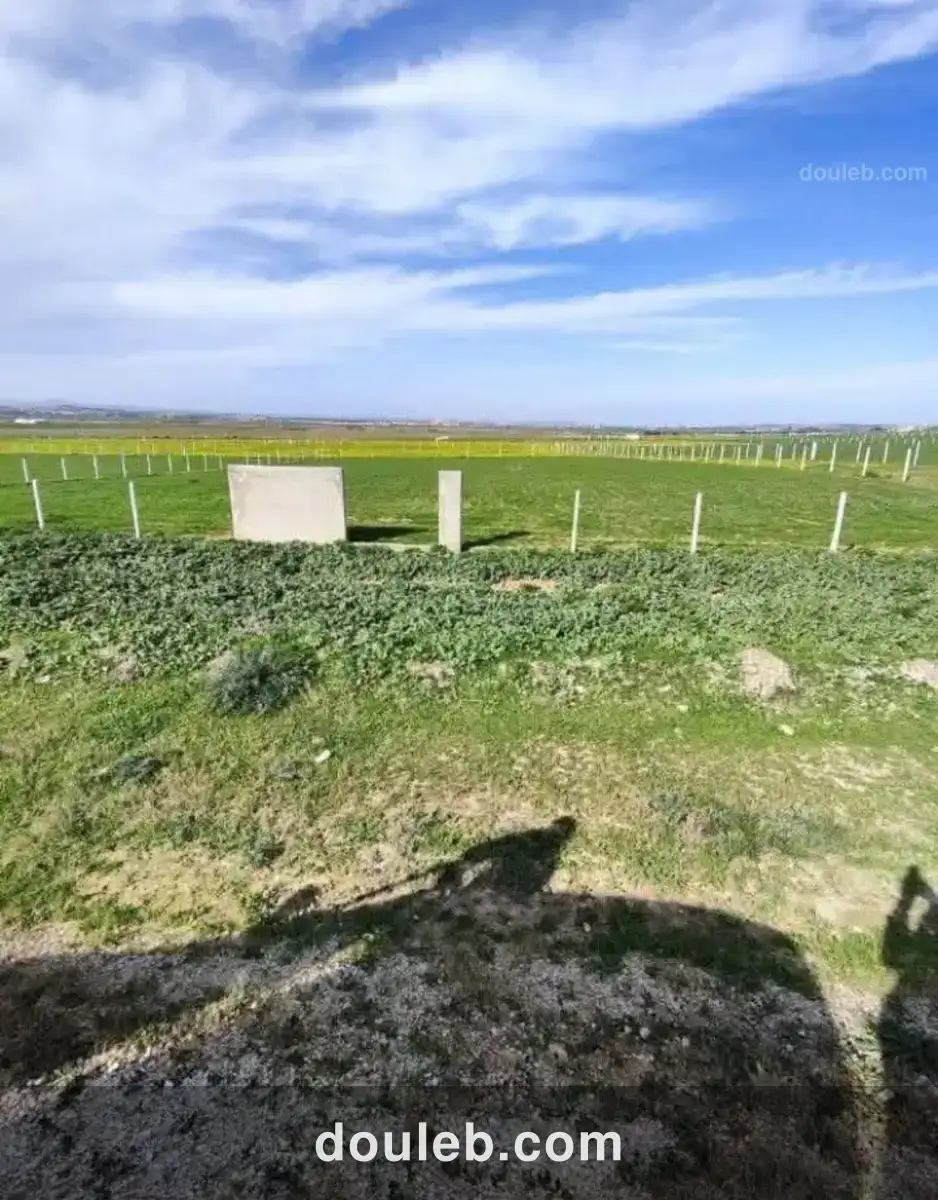 Terrain constructible unique - Miniature 5