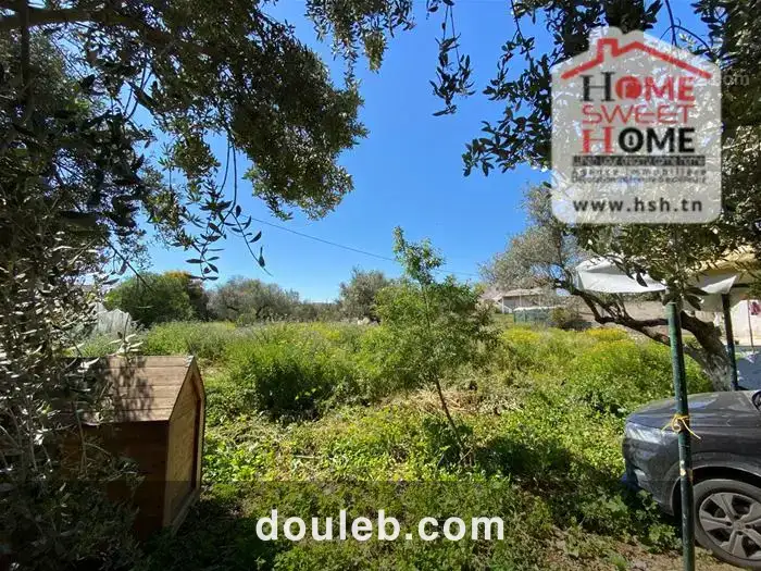 Villa randa à borj touil - Miniature 4