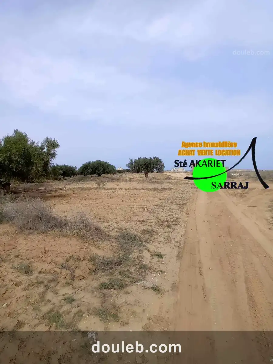 Terrain 1961m vue de mer à koussour gharnata - Miniature 2