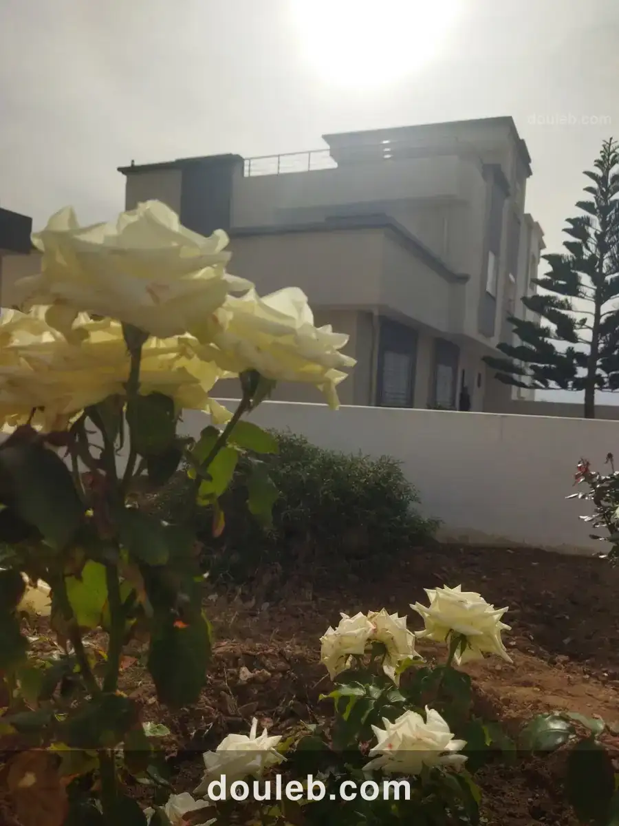 Villa luxueuse s4 et de vue panoramique à Tunis