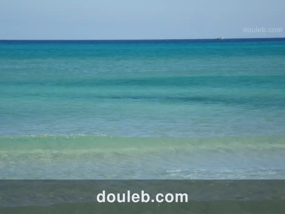 Terrain magique à partager à Tunis